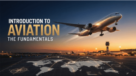 Professional aviation training course